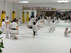 -极真空手道疾风道场(虹口凉城店)