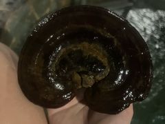 -泉城欧乐堡戏水湾艺术养生温泉