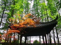 -瀛洲公园