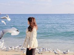 -海云台海滩