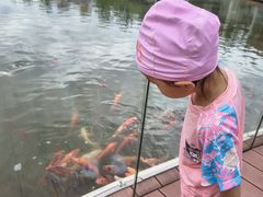 -春晖园度假酒店温泉