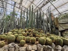 -南山植物园