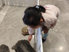 -中国宋庆龄青少年科技文化交流中心