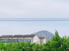 -老袁家蜜桃农场·阳山水蜜桃