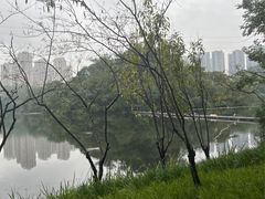 -重庆彩云湖湿地公园