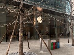 -Apple零售店(华贸购物中心店)