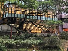 -香港大学