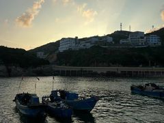 -枸杞岛