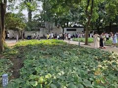 -绍兴鲁迅故里·沈园景区