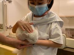 -龙猫仔乐园(惠福东路店)