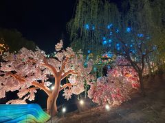 -淄博花灯齐彩城