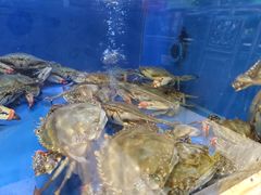 -小铜锣湾海鲜家常菜馆(河西店)
