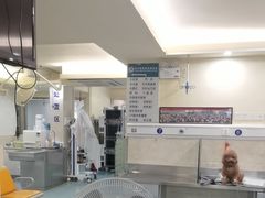 -动物缘宠物医院·骨科·猫科(西二环店)