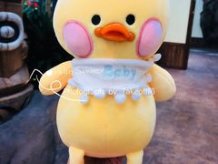 -杭州开元森泊度假乐园