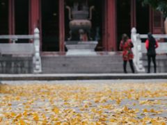 -苏州上方山国家森林公园