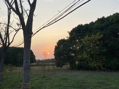 -嘉北郊野公园