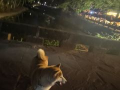 -雅安上里古镇