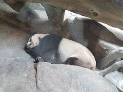 -宁波野生动物园