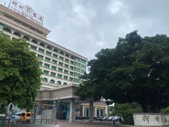 -柳州饭店·绿岛餐厅(友谊路店)