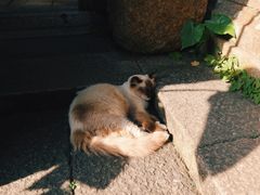 -老屋咖啡