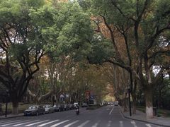 -浙江大学(玉泉校区)