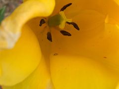 -廊坊文化艺术中心