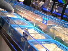-锅儿欢海鲜火锅烤肉自助餐(东港凯虹店)