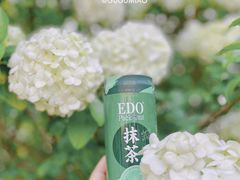 -上海滨江森林公园