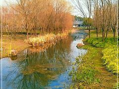 -长田漾湿地公园
