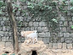 -杭州长乔极地海洋公园