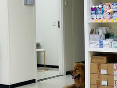 -美联众合动物医院·24h京西诊疗中心