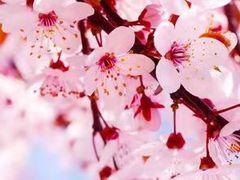 -新天地活力PARK