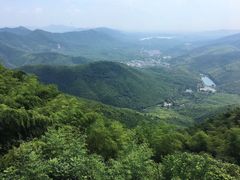 -鑫福楼农家菜