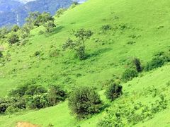 -大姆山草场