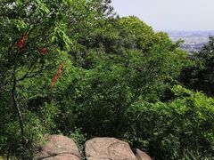 -灵岩山风景区