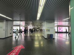 -宋家庄(地铁站)