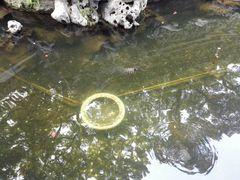 -普陀山风景名胜区-法雨禅寺