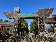 -溱湖国家湿地公园