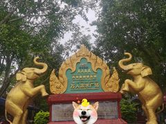 -西双版纳傣族园