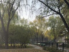 -太阳宫公园