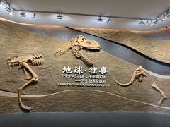 -柳州白莲洞洞穴科学博物馆