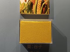 -大连金州博物馆