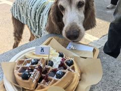 -小意思咖啡店(草桥店)