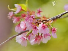 -静安雕塑公园
