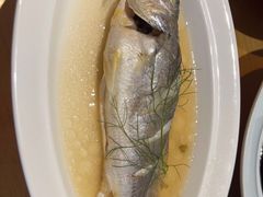 清蒸舟山野生黄鱼鲜-香浙汇(望京店)