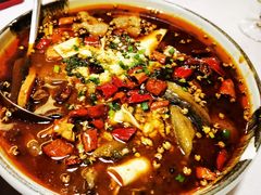 古镇毛血旺-渝信川菜(南滨店)