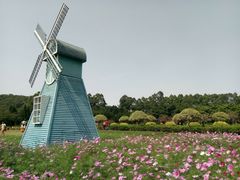 -南沙蒲洲花园
