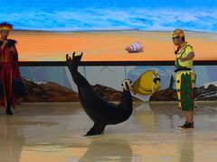 -三亚海昌梦幻海洋不夜城