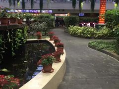 -天宫南铂玫瑰园酒店