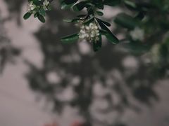 -二酉书店TOYOU BOOKS